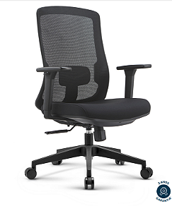 Poltrona Diretor BLM190D