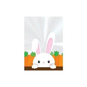 Saco Poli Decorado Coelho Adoleta 11x19,5cm 50 un - Cromus