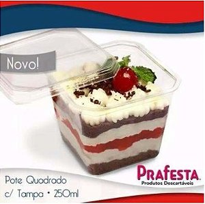 Caixa Pote Quadrado com Tampa 250 ml 240 unidades 12 pct de 20 unid- Prafesta