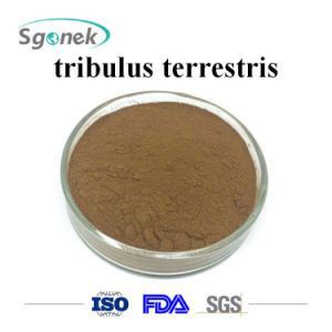 Tribullus Tribulus Extrato Extra forte 90% (importado ) 300 gramas