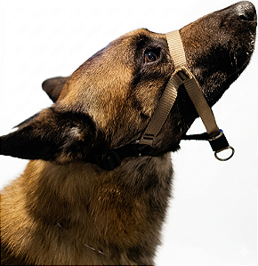 Coleira Cabresto anti-puxão