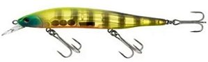 ISCA ARTIFICIAL LORI BRUTAL 115 COR 56