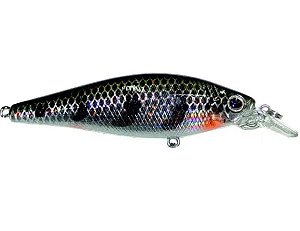 Isca Artificial Marine Sports Shiner King 7cm 8,5g  Cor 155