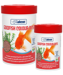 Goldffish colour