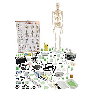 Conjunto de Biologia B para 4 grupos