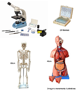 Conjunto Básico de Ciências para Fundamental I