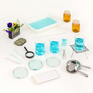 Conjunto Reino Plantae