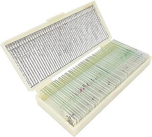 Conjunto de 50 lâminas preparadas para o Ensino Fundamental