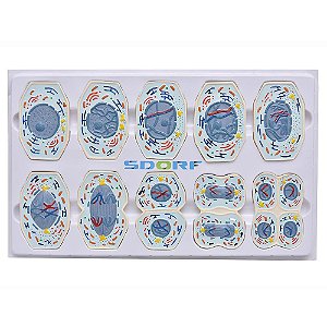 Modelo Anatômico da Meiose - 10 peças