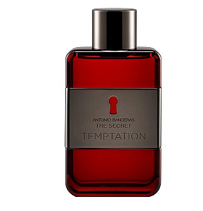 The Secret Temptation 100ml - Perfume Masculino - Eau De Toilette