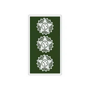 Divisa Emborrachada - Coronel