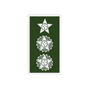 Divisa Emborrachada - Tenen. Coronel