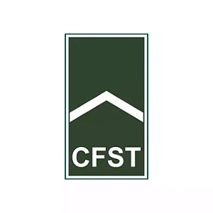 Divisa Emborrachada - CFST Soldado Profissional