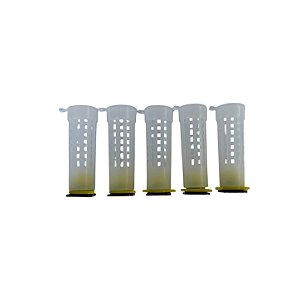 Kit com 5 Gaiolas para Rainha modelo Bob