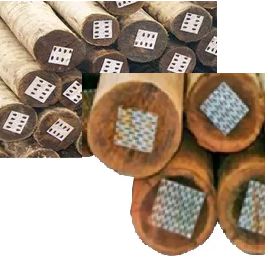 TRONCO MADEIRA EUCALIPTO TRATADO 14CM A 16CM - 3M