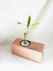 WOODBASE10