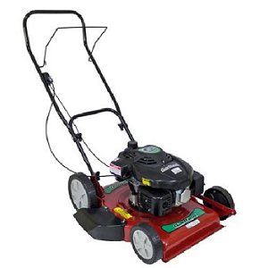 MAQUINA CORTAR GRAMA GR-6000S S/RECOLHEDOR GARTHEN