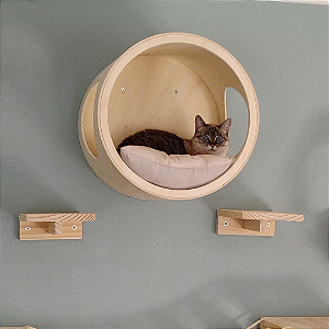 CASINHA PARA GATOS- CÁPSULA SEM ACRÍLICO