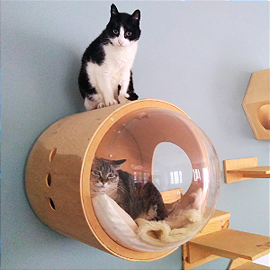 CASINHA P/ GATOS - CÁPSULA ESPACIAL