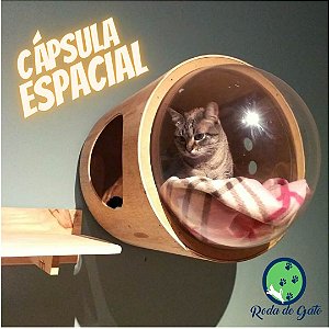 CASINHA PARA GATOS- CÁPSULA ESPACIAL -nicho com acrílico