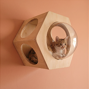 NICHO PARA GATOS C/ ACRÍLICO - Hexagonal