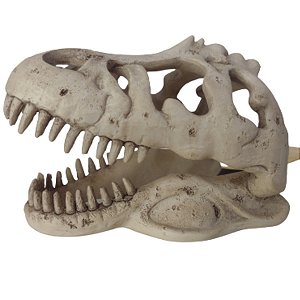 ENFEITE | Cabeça de Tiranossauro Rex