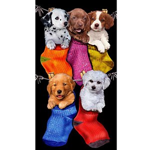 Toalha de Praia aveludada Puppies in the stockings Buettner Cachorros na meia