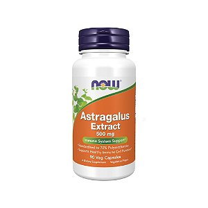Astragalus Extract 500mg - Now Foods
