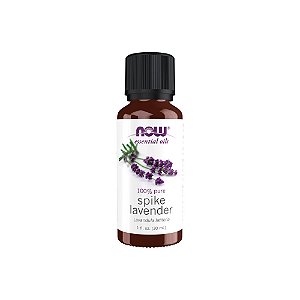 Óleo Essencial de Spike Lavender 30ml - Now Foods