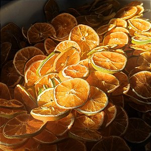 Laranja Desidratada · 10 x 50g