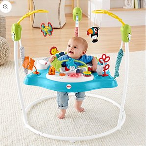 Fisher-Price Jumperoo Colour Climber