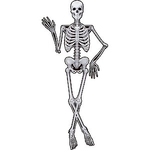 Enfeite Decoração Pendurar Esqueleto Articulado Festa Halloween