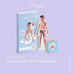 Flash Cards Corpo Humano 4D