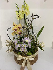 Coquetel de Orquídeas