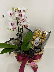 Orquídea e Ferrero Rocher