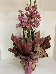 Orquídea Cymbidium Presente
