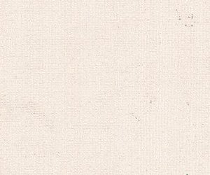 PAPEL DE PAREDE CLASSICI 2-EN