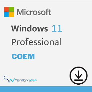 Microsoft Windows 11 Professional COEM