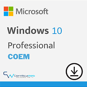 Microsoft Windows 10 Professional COEM