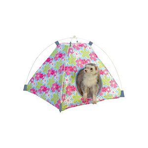 Connect and Play Tent-Marshall-Promo 30% OFF