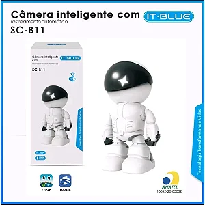 Câmera De Segurança  Com Resolução Full Hd 1080P It-blue SC-B11