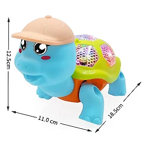 Tartaruga Brincalhona DFXL3701