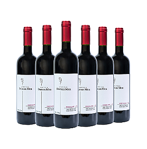 COMBO DE 6 UNIDADES - MONTEPULCIANO 2022