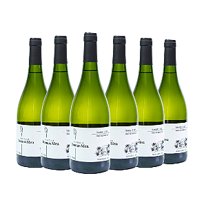COMBO DE 6 UNIDADES - TRAMINER 2022