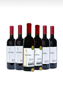Kit Promocional Tintos Domus Mea