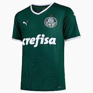 Camiseta Puma Palmeiras 2022 Masculino Verde