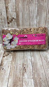 MUSGO CHILENO  150 G