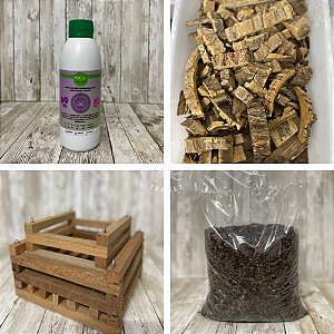 KIT DE CULTIVO PARA ORQUIDEAS #11