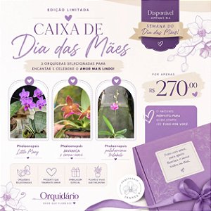 CAIXA DIA DAS MÃES
