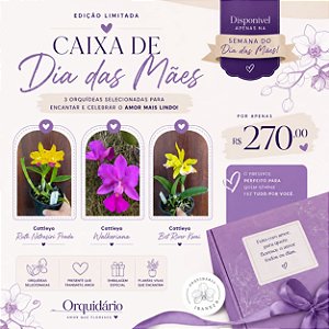 CAIXA DIA DAS MÃES #2